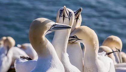 兰帕德：韦尔纳仍在适应位置 弟媳能破防更能固防