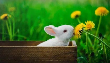 兰帕德：韦尔纳仍在适应位置 弟媳能破防更能固防